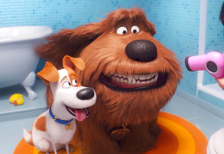 “La vida secreta de tus mascotas 2” se estrena mañana en México